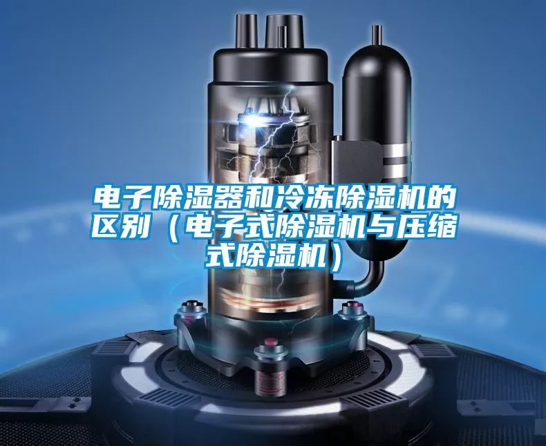 电子除湿器和冷冻除湿机的区别（电子式除湿机与压缩式除湿机）