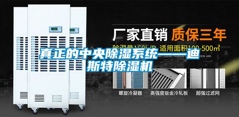 真正的中央除湿系统——迪斯特除湿机