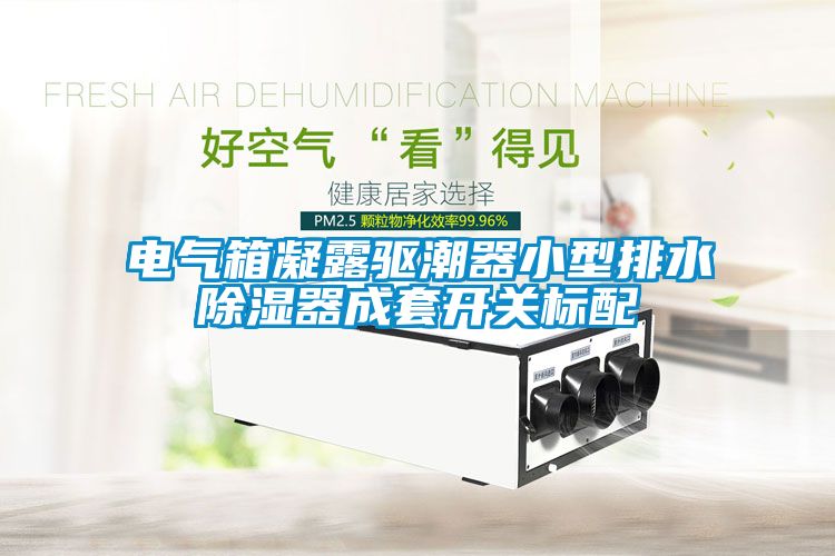 电气箱凝露驱潮器小型排水除湿器成套开关标配