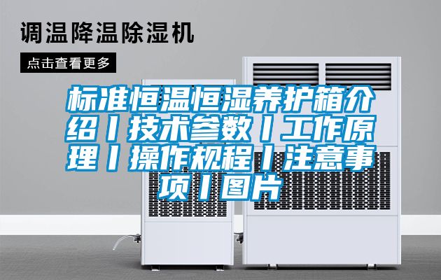 标准恒温恒湿养护箱介绍丨技术参数丨工作原理丨操作规程丨注意事项丨图片