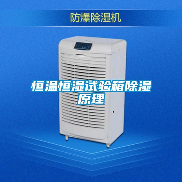 恒温恒湿试验箱除湿原理