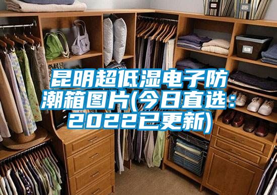 昆明超低湿电子防潮箱图片(今日直?。?022已更新)