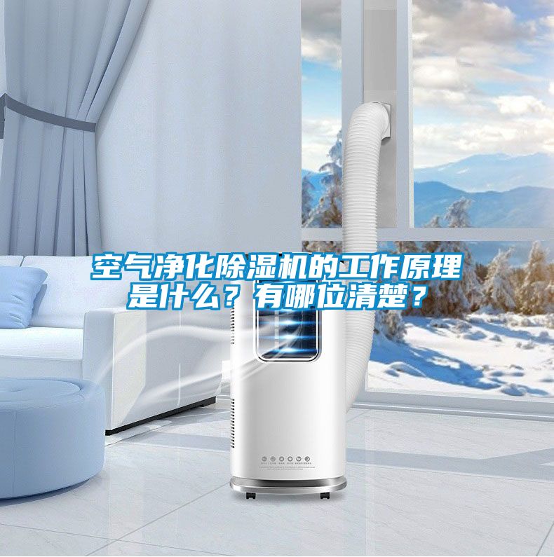空气净化除湿机的工作原理是什么？有哪位清楚？
