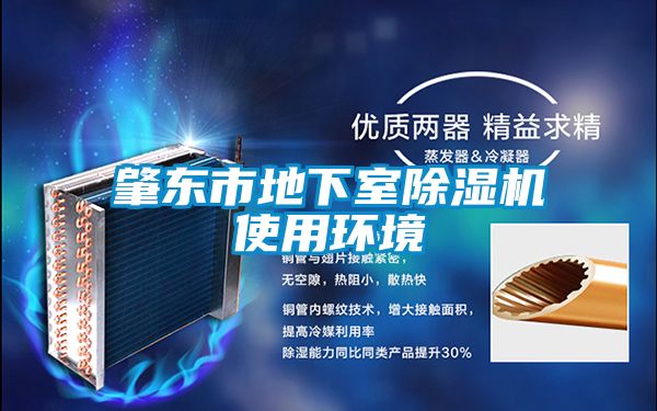 肇东市地下室除湿机使用环境