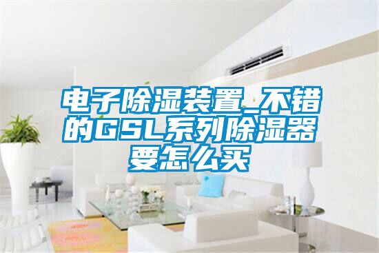 电子除湿装置_不错的GSL系列除湿器要怎么买