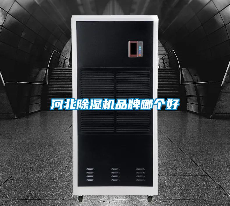 河北除湿机品牌哪个好