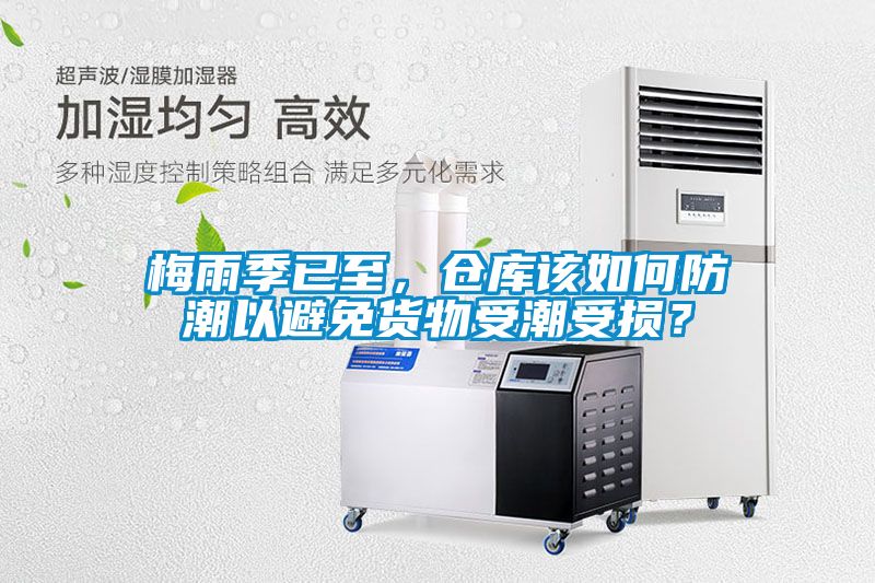 梅雨季已至，仓库该如何防潮以避免货物受潮受损？