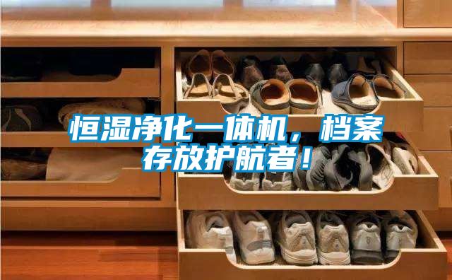 恒湿净化一体机，档案存放护航者！