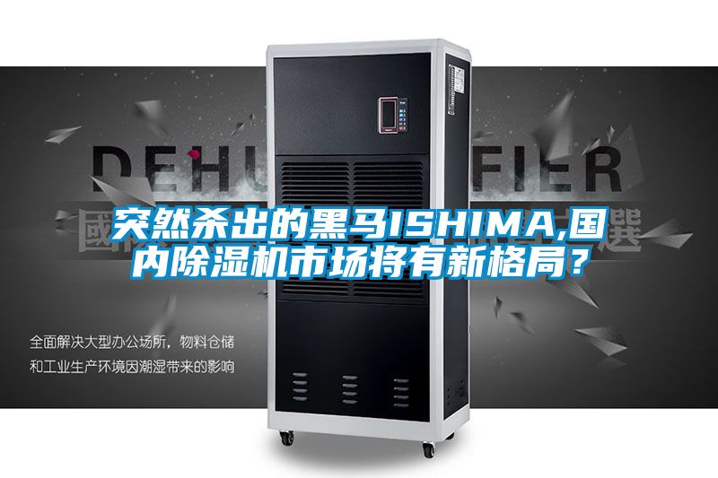 突然杀出的黑马ISHIMA,国内除湿机市场将有新格局？