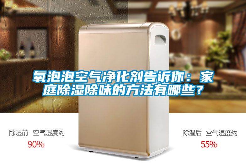 氧泡泡空气净化剂告诉你：家庭除湿除味的方法有哪些？