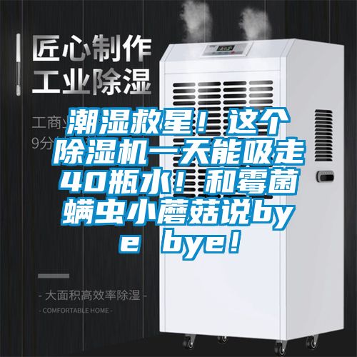 潮湿救星！这个除湿机一天能吸走40瓶水！和霉菌螨虫小蘑菇说bye bye！
