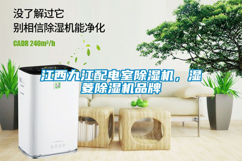 江西九江配电室除湿机，湿菱除湿机品牌