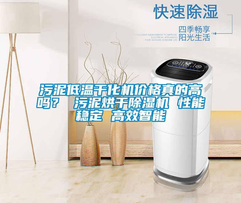 污泥低温干化机价格真的高吗？ 污泥烘干除湿机 性能稳定 高效智能