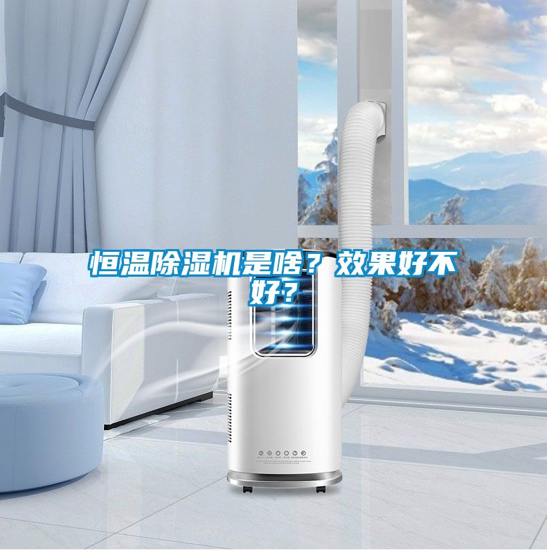 恒温除湿机是啥？效果好不好？
