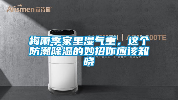 梅雨季家里湿气重，这个防潮除湿的妙招你应该知晓