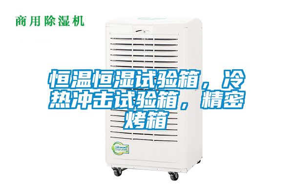 恒温恒湿试验箱，冷热冲击试验箱，精密烤箱