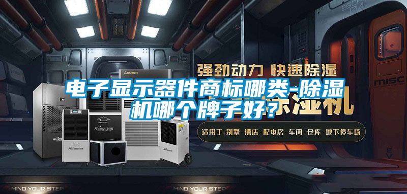 电子显示器件商标哪类-除湿机哪个牌子好?