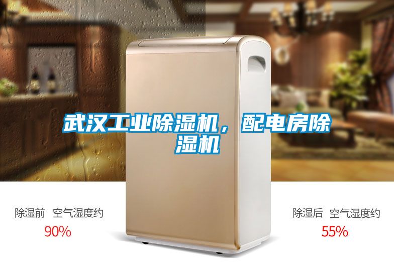 武汉工业除湿机，配电房除湿机