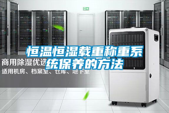 恒温恒湿载重称重系统保养的方法