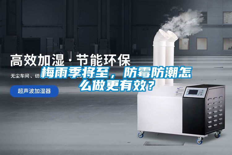 梅雨季将至，防霉防潮怎么做更有效？