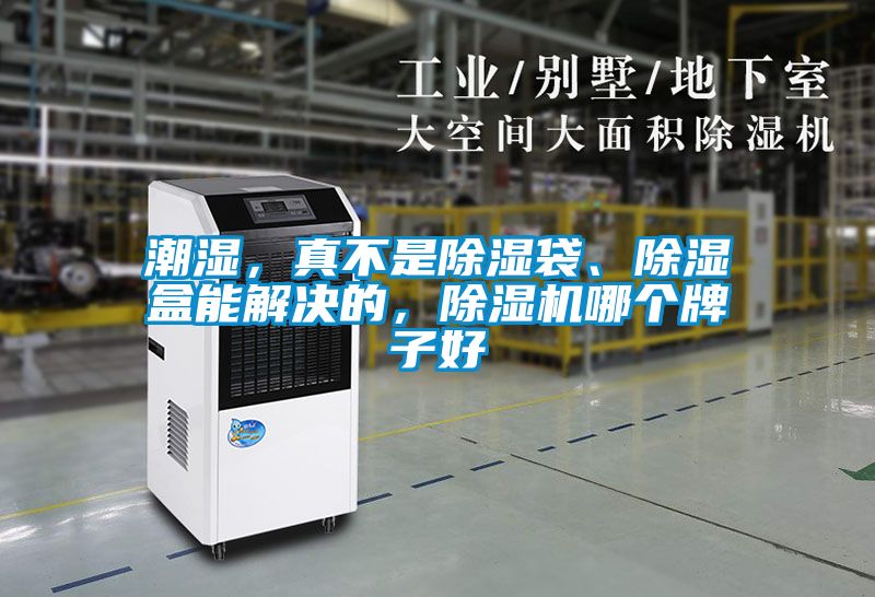 潮湿，真不是除湿袋、除湿盒能解决的，除湿机哪个牌子好