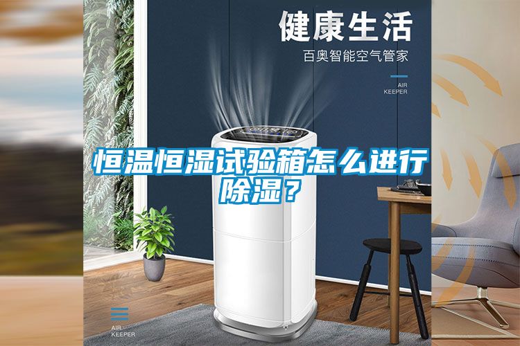 恒温恒湿试验箱怎么进行除湿？