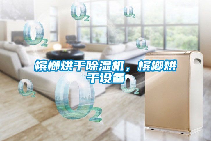 槟榔烘干除湿机，槟榔烘干设备
