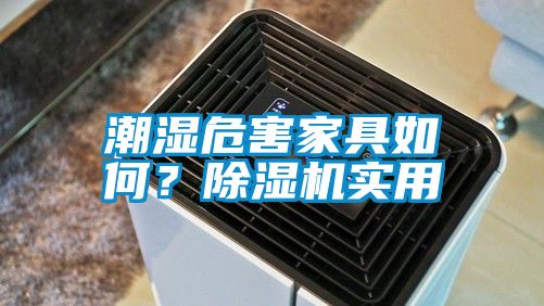 潮湿危害家具如何？除湿机实用