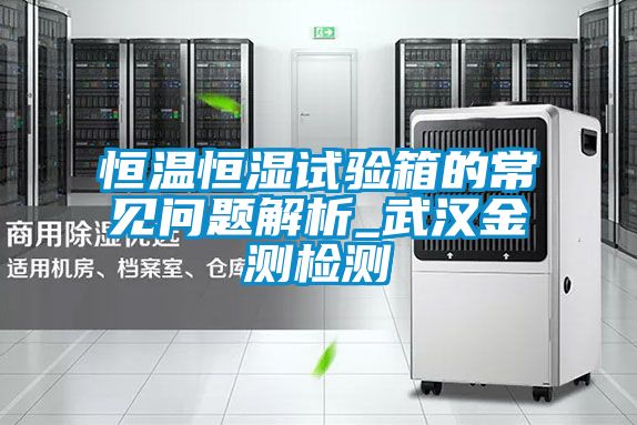 恒温恒湿试验箱的常见问题解析_武汉金测检测