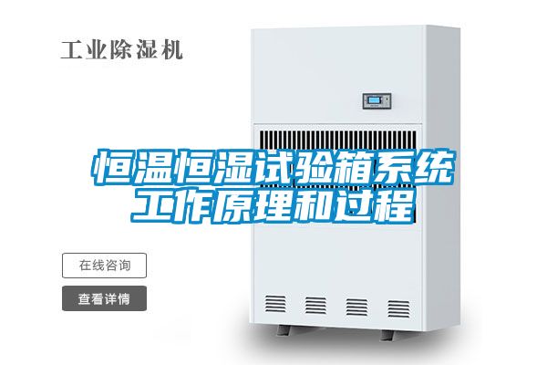 恒温恒湿试验箱系统工作原理和过程