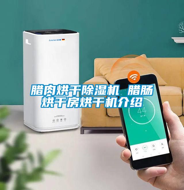 腊肉烘干除湿机 腊肠烘干房烘干机介绍