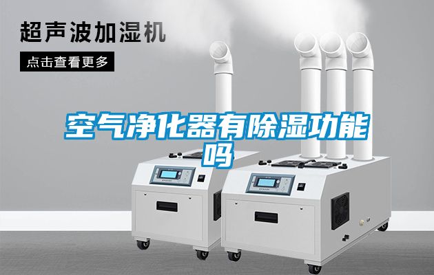 空气净化器有除湿功能吗