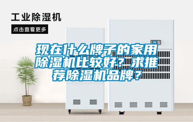 现在什么牌子的家用除湿机比较好？求推荐除湿机品牌？