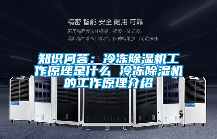 知识问答：冷冻除湿机工作原理是什么 冷冻除湿机的工作原理介绍