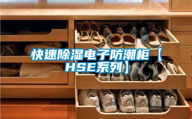 快速除湿电子防潮柜【HSE系列】