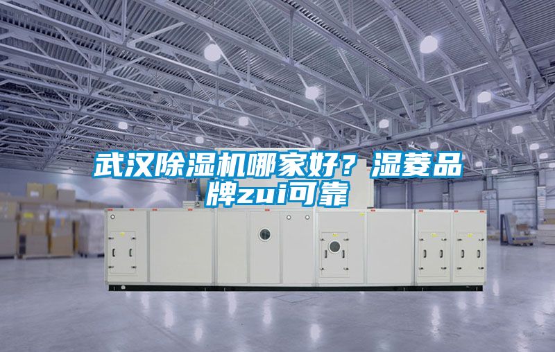 武汉除湿机哪家好？湿菱品牌zui可靠
