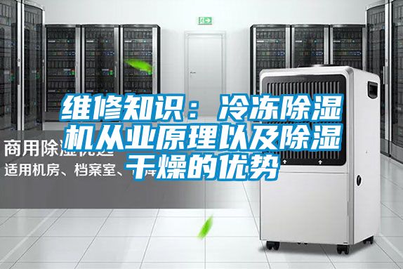 维修知识:冷冻除湿机从业原理以及除湿干燥的优势
