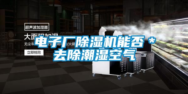 电子厂除湿机能否*去除潮湿空气