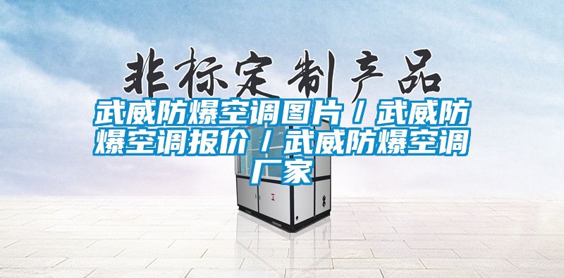 武威防爆空调图片/武威防爆空调报价/武威防爆空调厂家
