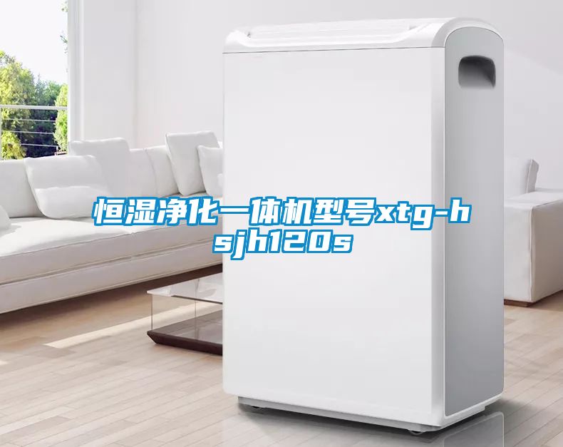 恒湿净化一体机型号xtg-hsjh120s