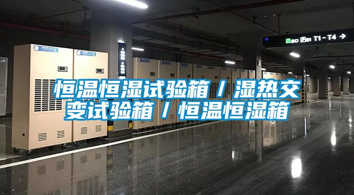 恒温恒湿试验箱／湿热交变试验箱／恒温恒湿箱