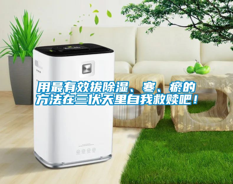 用最有效拔除湿、寒、瘀的方法在三伏天里自我救赎吧！