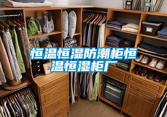恒温恒湿防潮柜恒温恒湿柜厂
