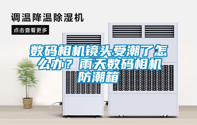 数码相机镜头受潮了怎么办？雨天数码相机防潮箱