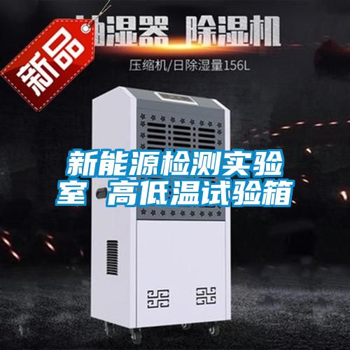新能源检测实验室 高低温试验箱