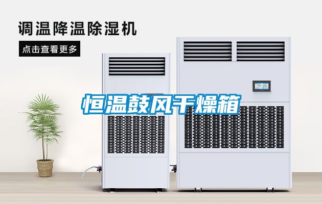 恒温鼓风干燥箱