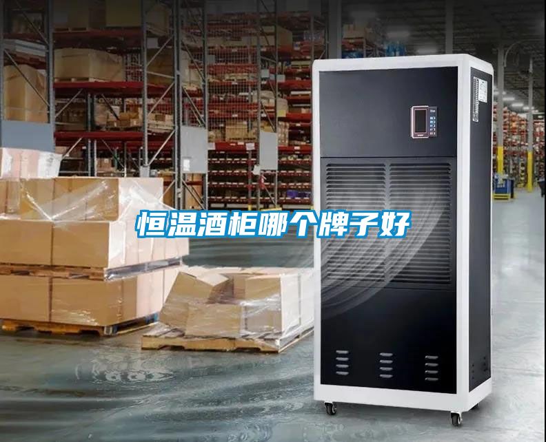 恒温酒柜哪个牌子好