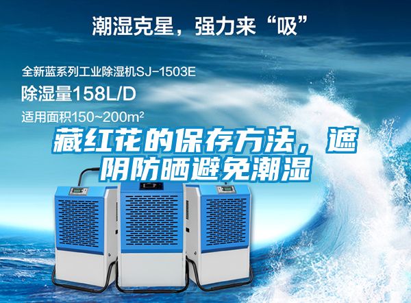 藏红花的保存方法,遮阴防晒避免潮湿