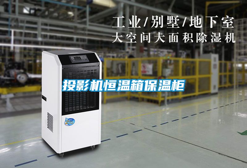 投影机恒温箱保温柜