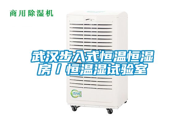 武汉步入式恒温恒湿房／恒温湿试验室